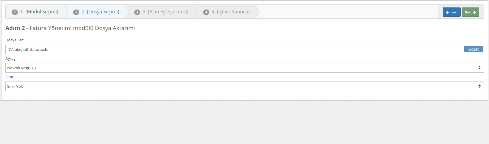 Excelle fatura aktarmak